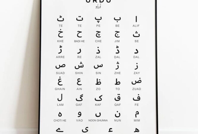 WhatsApp Image 2025-10-02 at 9.46.31 PM (4)