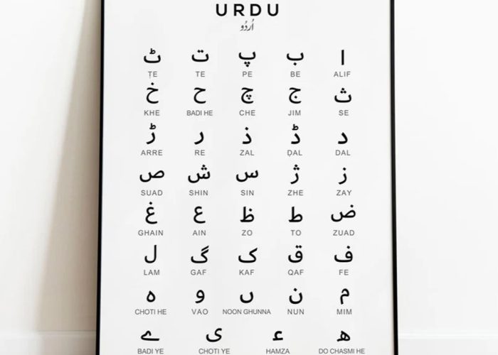 WhatsApp Image 2025-10-02 at 9.46.31 PM (4)