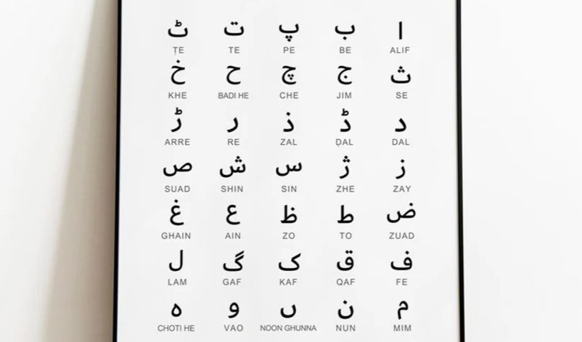 WhatsApp Image 2025-10-02 at 9.46.31 PM (4)